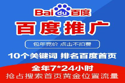 竞价推广策略：某电商平台的成功之路